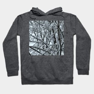 Snowstorm on tree branches in Chicago Hoodie